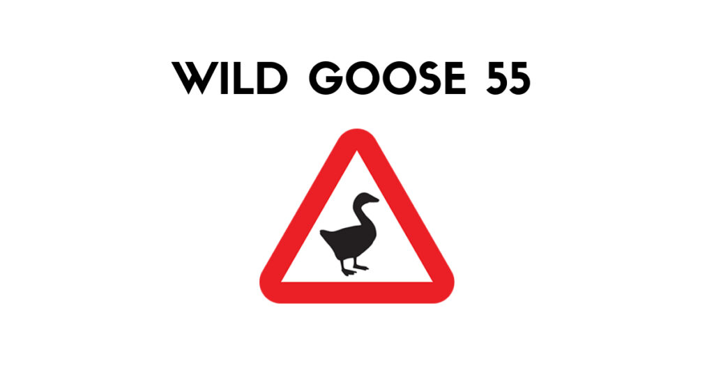 prod-track-files-1520727-extra_pictures-Wild-Goose-55_3