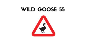 prod-track-files-1520727-extra_pictures-Wild-Goose-55_3